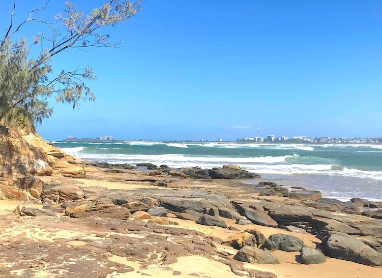 Picture 7 for Activity Noosa: Hidden Beach & Hilltop Walks Private Day Tour & Lunch
