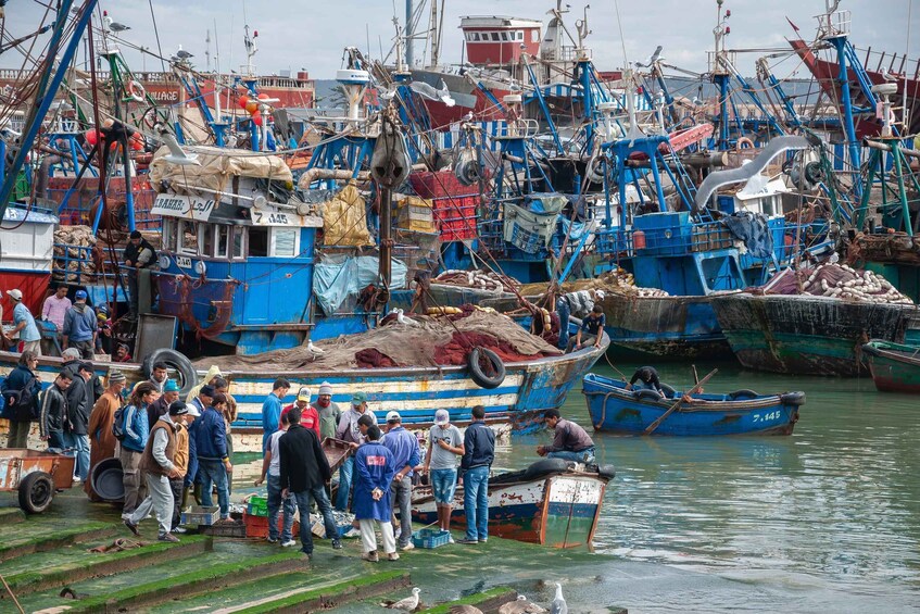 Picture 1 for Activity Friend-Guide Essaouira city tour