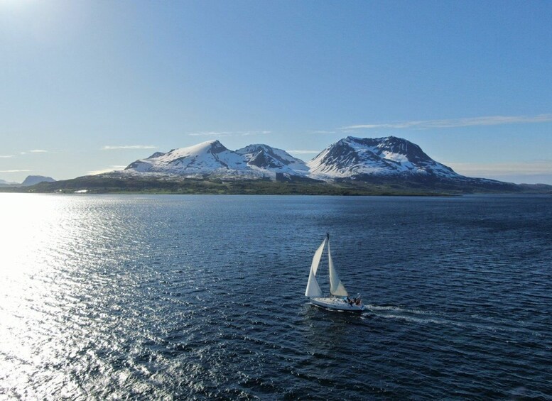 Harstad: Fjordcruise sailing with skipper