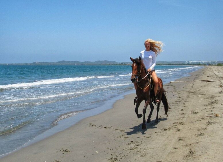 Picture 5 for Activity Miami: Beach Horse Ride & Nature Trail
