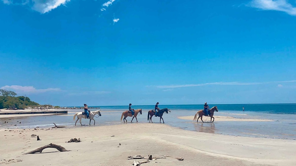 Miami: Beach Horse Ride & Nature Trail