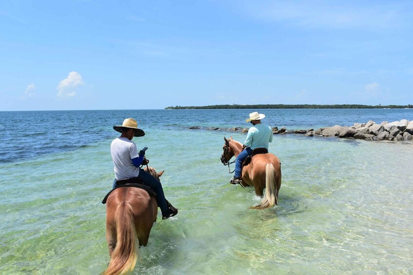 Picture 7 for Activity Miami: Beach Horse Ride & Nature Trail