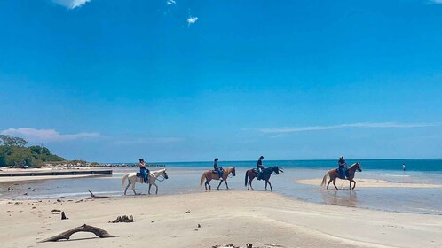 Miami: Beach Horse Ride & Nature Trail