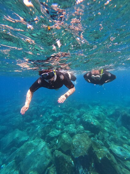 Picture 2 for Activity Snorkeling Boat Trip in Marine Turtles Natural Habitat