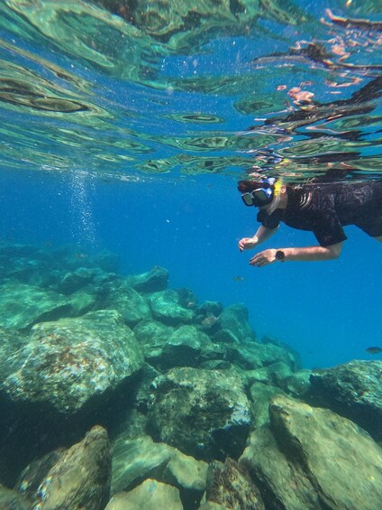 Picture 1 for Activity Snorkeling Boat Trip in Marine Turtles Natural Habitat