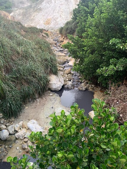 Picture 7 for Activity Saint Lucia Pitons Waterfalls and Mud Bath Experience.