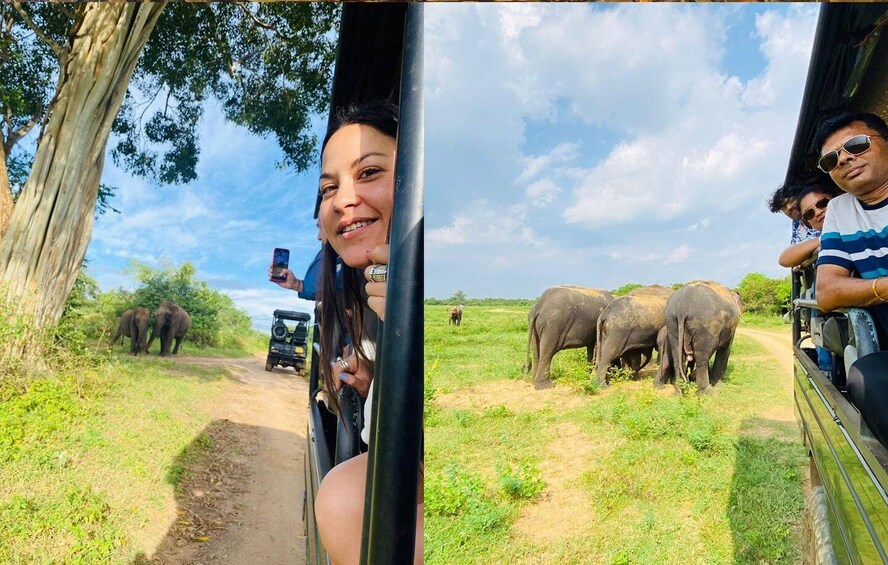 Picture 17 for Activity From Colombo: Sigiriya Dambulla & Minneriya park Day Trips