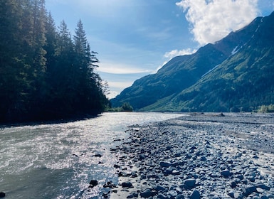 From Seward: Resurrection River Rafting Tour