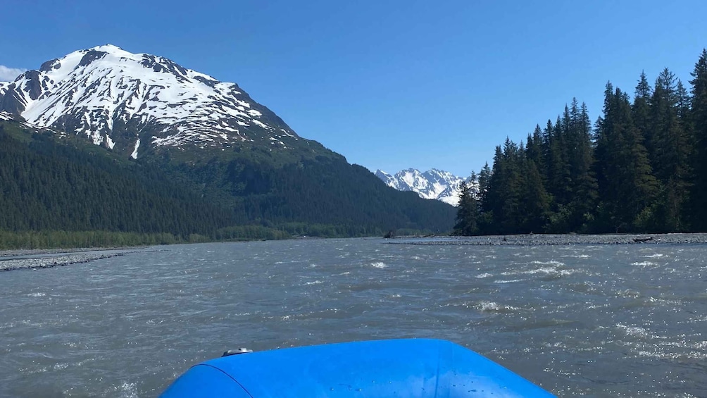 Picture 17 for Activity From Seward: Resurrection River Rafting Tour