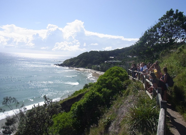 Picture 4 for Activity Byron Bay Half-Day Tour