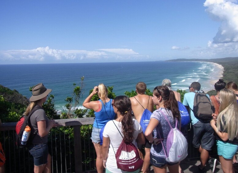 Picture 2 for Activity Byron Bay Half-Day Tour
