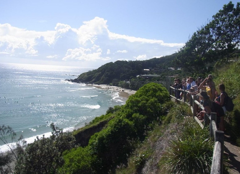 Picture 4 for Activity Byron Bay Half-Day Tour