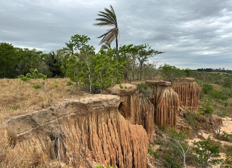 4- hour hiking tour in two different tropical worlds