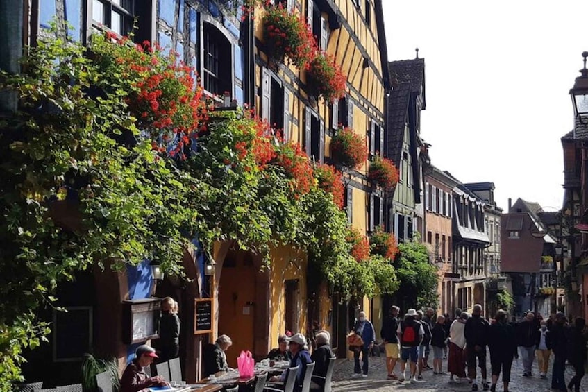 Picture 2 for Activity Iconics Typical villages & Haut Koenigsbourg castle