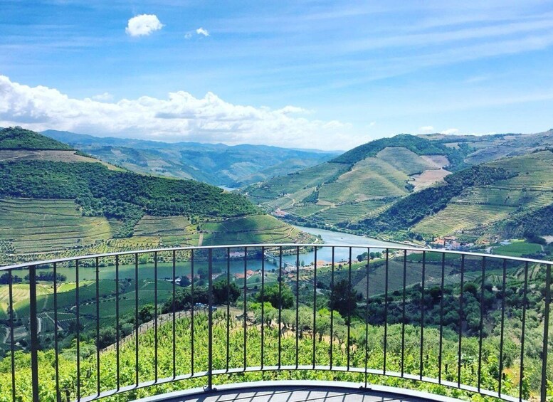 Picture 1 for Activity Porto: Private Douro Valley Day with Lunch