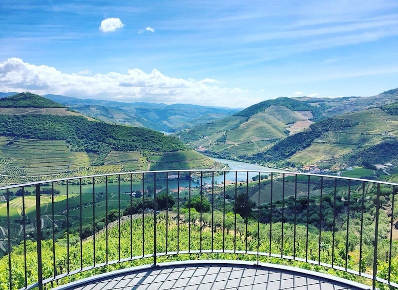 Picture 1 for Activity Porto: Private Douro Valley Day with Lunch