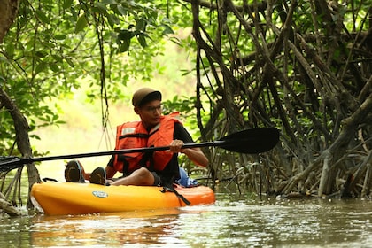 From Desaru: Lebam River Kayak Trip