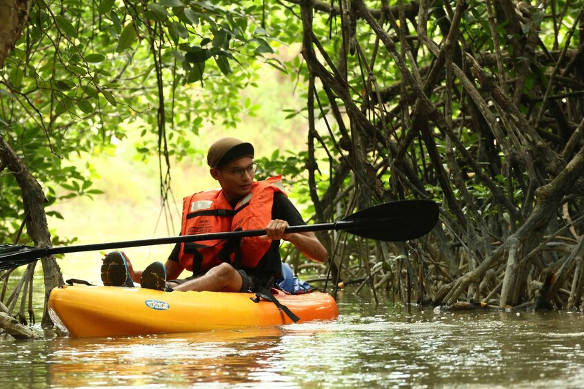 Picture 1 for Activity From Desaru: Lebam River Kayak Trip