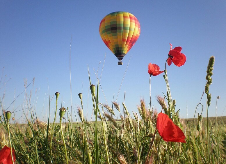 Picture 2 for Activity Segovia: Hot-Air Balloon Flight with Optional 3-Course Lunch