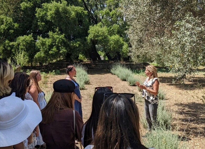 Picture 2 for Activity Argostoli & Villages: Private Tour with Olive Oil Tasting