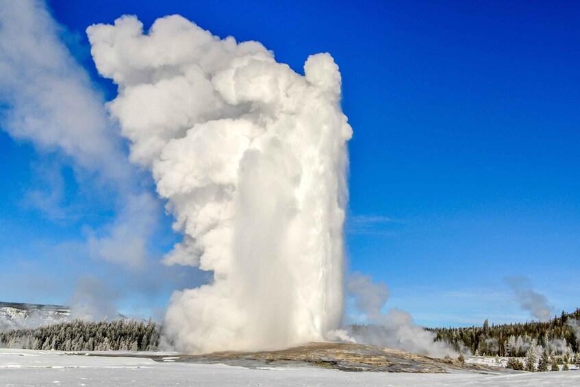 Picture 2 for Activity West Yellowstone: Yellowstone National Park Highlights Tour