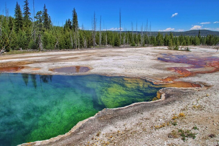 Picture 10 for Activity West Yellowstone: Yellowstone National Park Highlights Tour