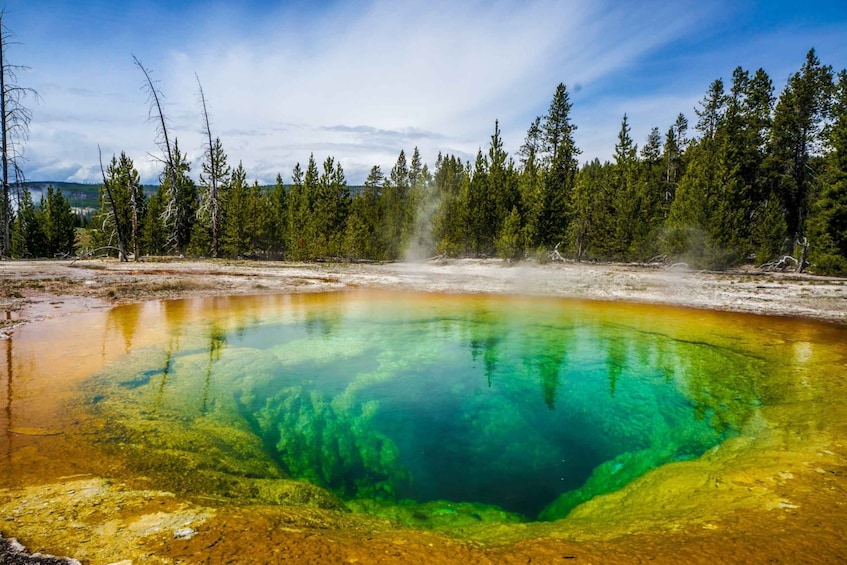 Picture 7 for Activity Yellowstone: Self-Guided Tour of National Park Highlights