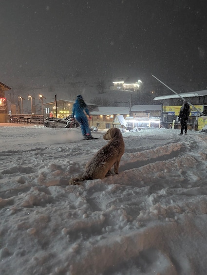 Picture 11 for Activity Gudauri: Snowboard/Ski Instructors