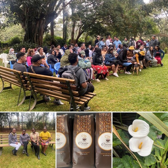 Picture 1 for Activity Nairobi: Fairview Coffee Estate Tour with Tasting and Pickup