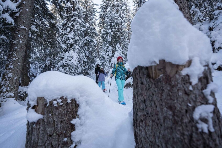 Picture 5 for Activity From Interlaken: Wetterhorn Trail Snowshoe Hiking Tour