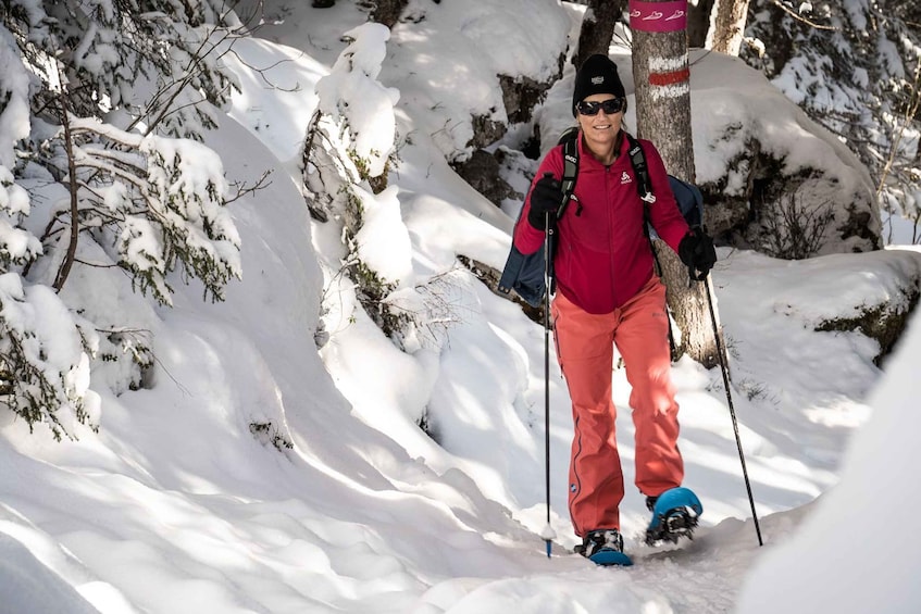 Picture 4 for Activity From Interlaken: Wetterhorn Trail Snowshoe Hiking Tour