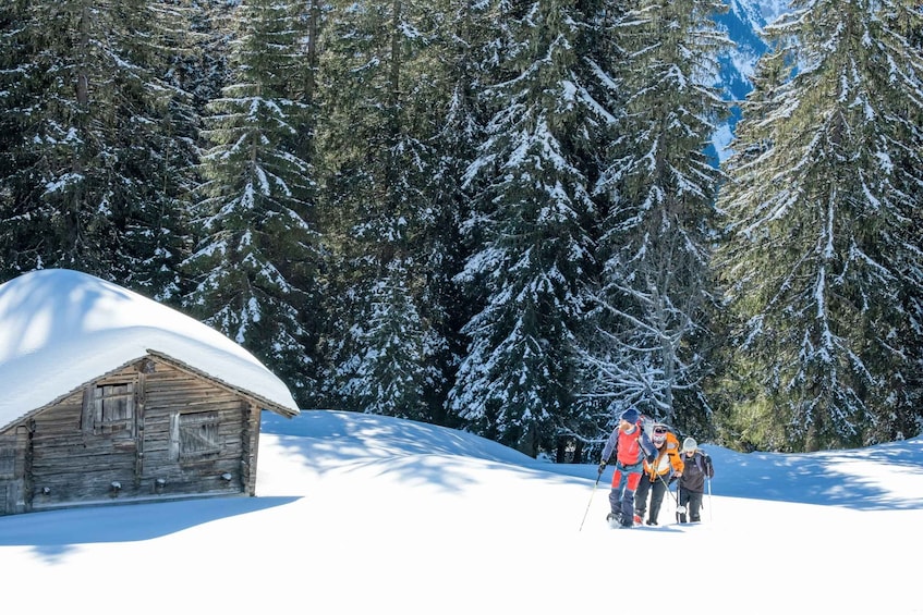 Picture 8 for Activity From Interlaken: Wetterhorn Trail Snowshoe Hiking Tour