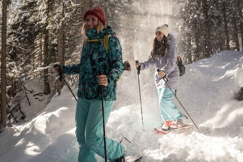 From Interlaken: Wetterhorn Trail Snowshoe Hiking Tour