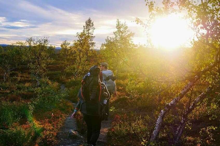 Picture 3 for Activity Midnight Sun Hike to the Shores of Lake Inari