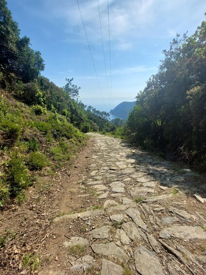 Picture 15 for Activity Cinque Terre from Vernazza to Monterosso and Sanctuaries