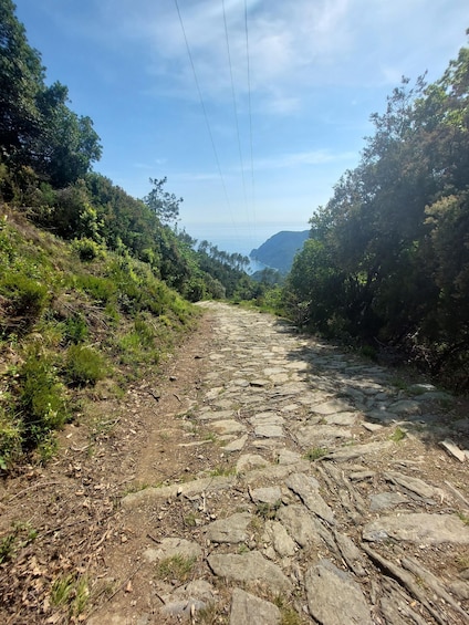 Picture 15 for Activity Cinque Terre from Vernazza to Monterosso and Sanctuaries
