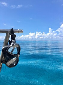 科苏梅尔：浮潜游船之旅