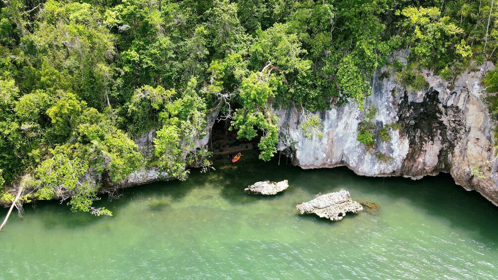 Picture 11 for Activity Los Haitises: Boat Excursion and Walking Tour with Lunch