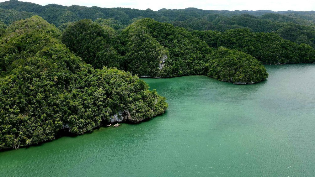 Picture 7 for Activity Los Haitises: Boat Excursion and Walking Tour with Lunch