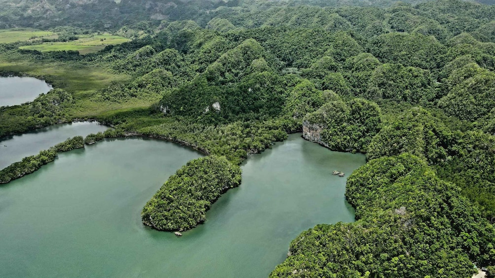 Picture 9 for Activity Los Haitises: Boat Excursion and Walking Tour with Lunch