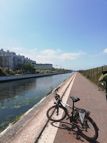 Aveiro: City of Canals Bike Tour