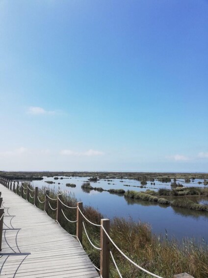 Picture 4 for Activity Aveiro: City of Canals Bike Tour