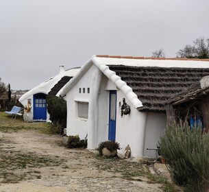 Camargue, its secrets and its magic: an exclusive tour