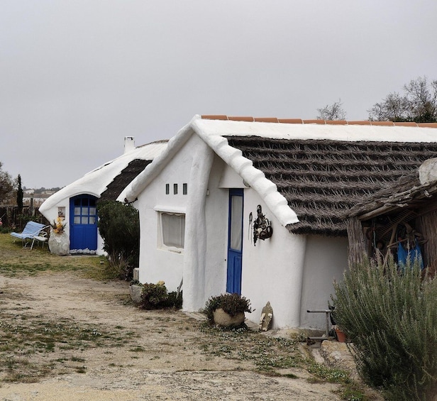 Camargue, its secrets and its magic: an exclusive tour