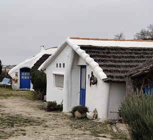 Camargue, its secrets and its magic: an exclusive tour