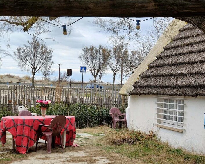 Picture 3 for Activity Camargue, its secrets and its magic: an exclusive tour