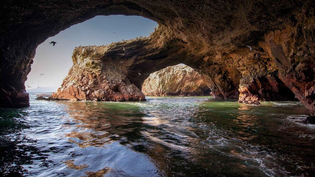 Picture 2 for Activity From Paracas-Sunset trekking in the Paracas National Reserve