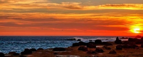 Desde Paracas-Trekking al atardecer en la Reserva Nacional de Paracas