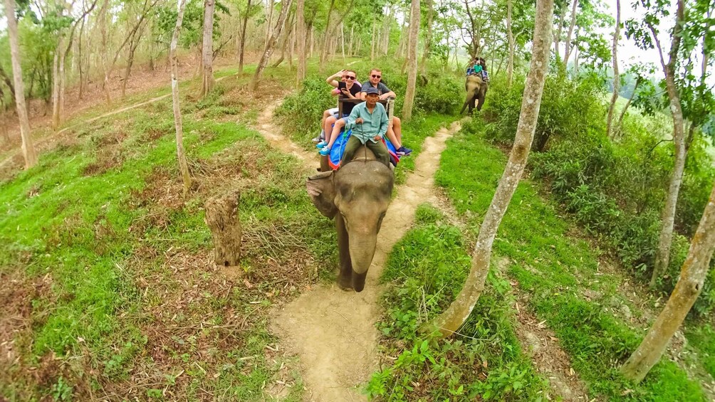 Picture 24 for Activity From Kathmandu/Pokhara: 3 Day All-Inclusive Chitwan Safari