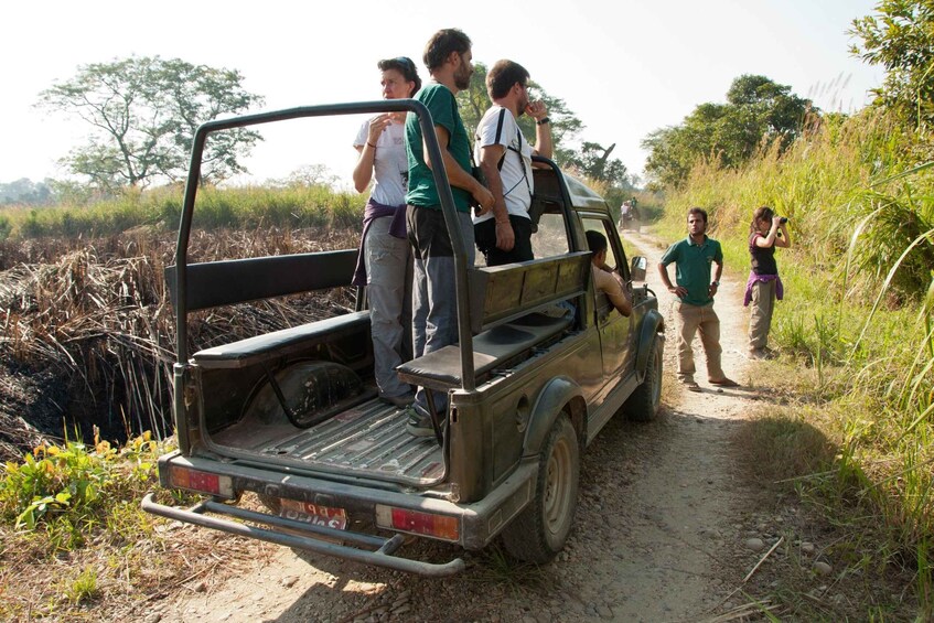 Picture 5 for Activity From Kathmandu/Pokhara: 3 Day All-Inclusive Chitwan Safari